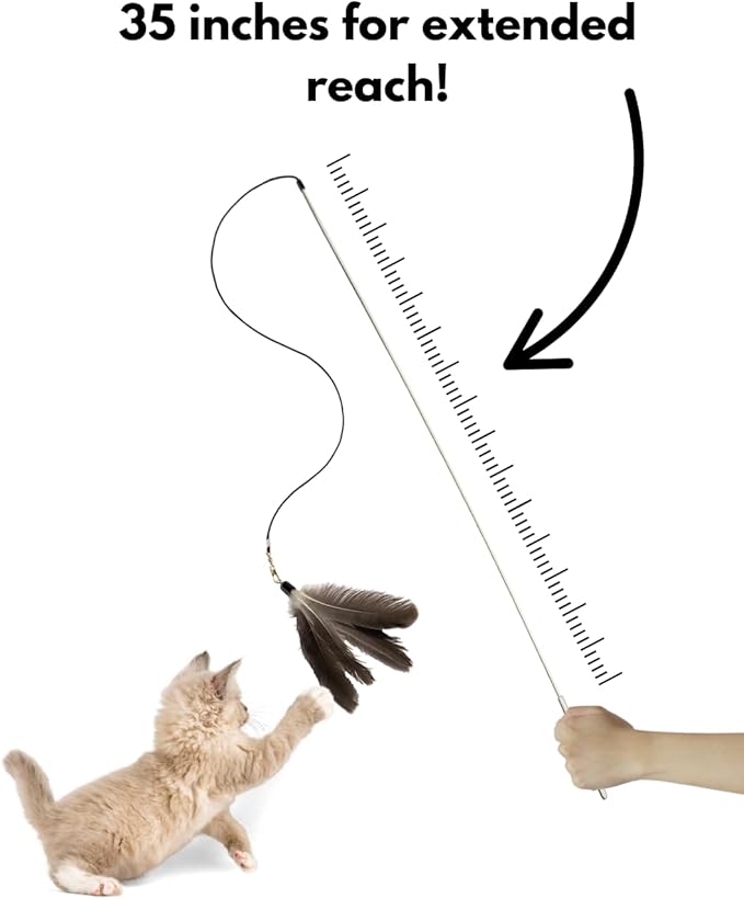 35-Inch Long Cat Teaser Wand with Feather Toy | Elastic Cord | Replaceable Feather Attachment | Extended Reach for Interactive Play