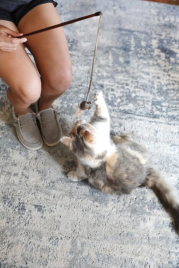 Interactive Cat Teaser Wand with Feather Mouse | Wooden-Style Handle & Braided Rope | Durable & Lightweight Toy for Indoor Play & Training