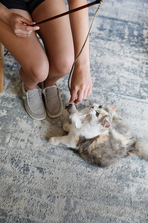 Interactive Cat Teaser Wand with Feather Mouse | Wooden-Style Handle & Braided Rope | Durable & Lightweight Toy for Indoor Play & Training
