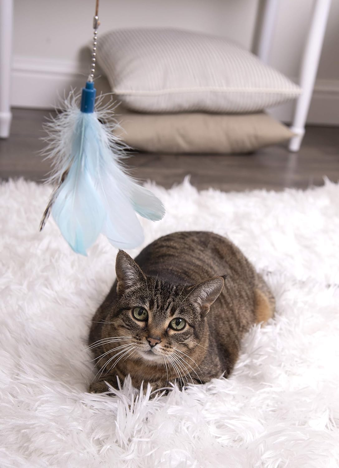 Classic Feather Cat Teaser Wand | Elastic Cord Design | Interactive Play Toy for Cats