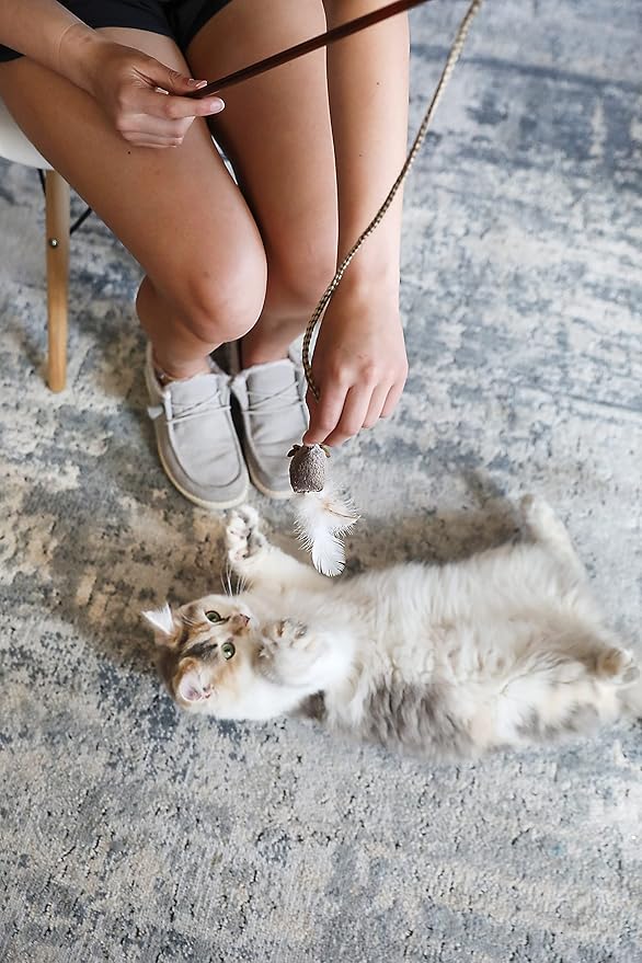 Interactive Cat Teaser Wand with Feather Mouse | Wooden-Style Handle & Braided Rope | Durable & Lightweight Toy for Indoor Play & Training