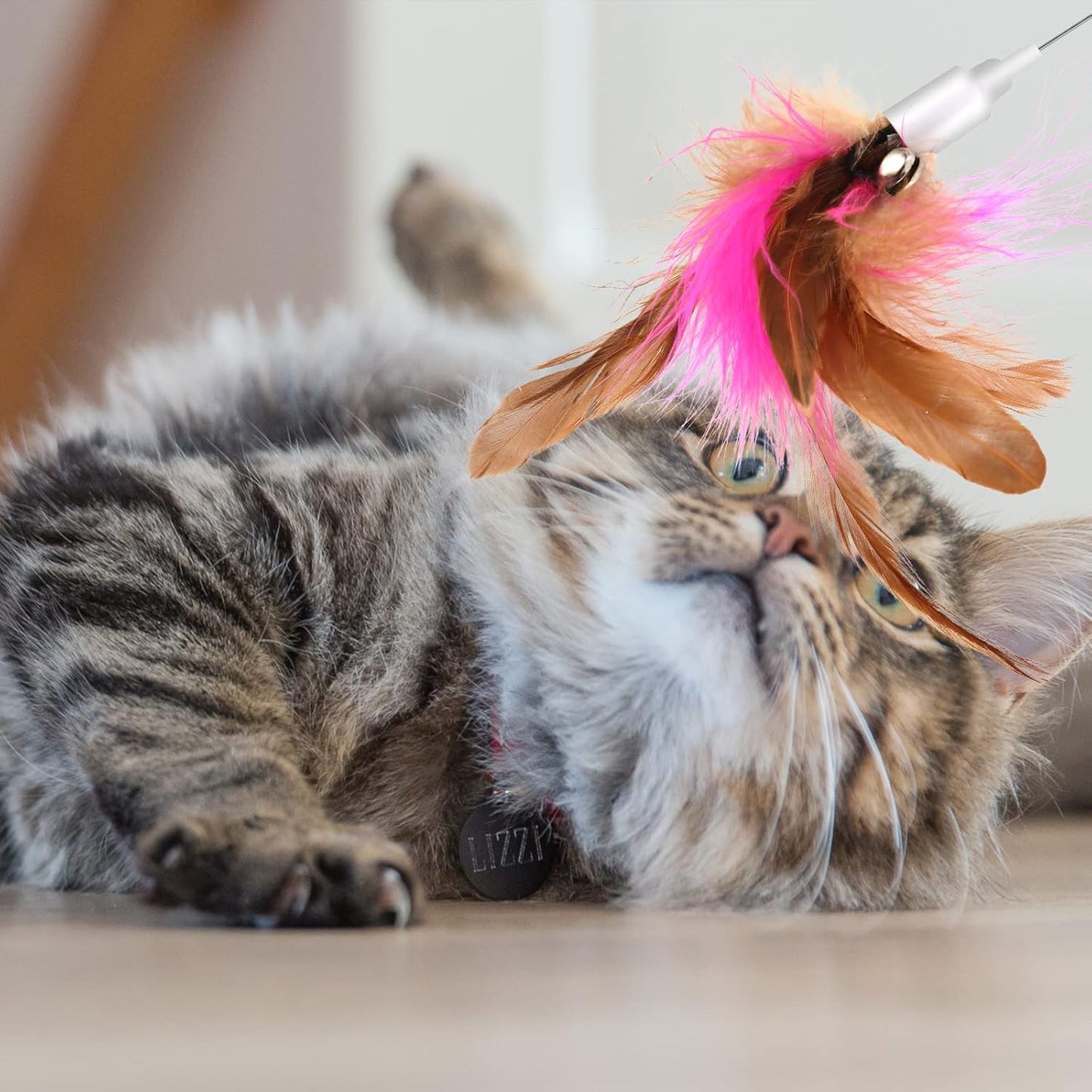 Wearable Feather Cat Teaser Wand with Bell | Adjustable Silicone Wrist Strap | Hands-Free Interactive Toy for Cats
