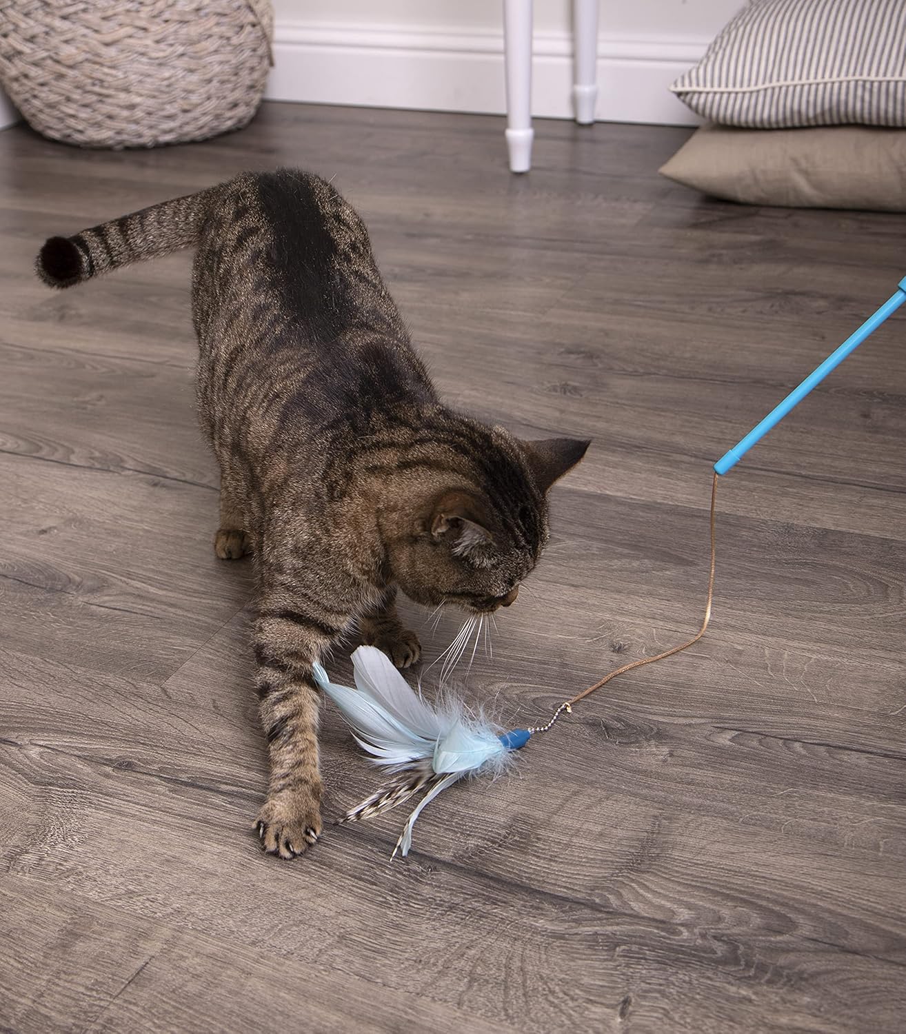 Classic Feather Cat Teaser Wand | Elastic Cord Design | Interactive Play Toy for Cats